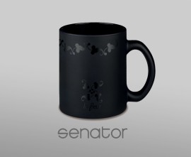 Senator